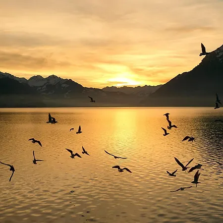 Apartamento Abendrot - Direct View