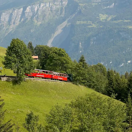 Abendrot - Direct View Apartamento Brienz (Bern)
