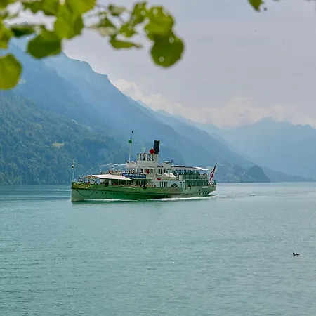 Abendrot - Direct View Brienz (Bern)