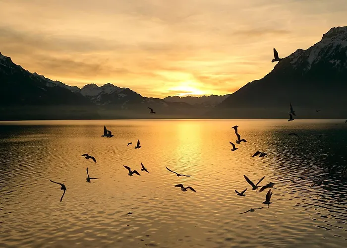 Lejlighed Abendrot - Direct View